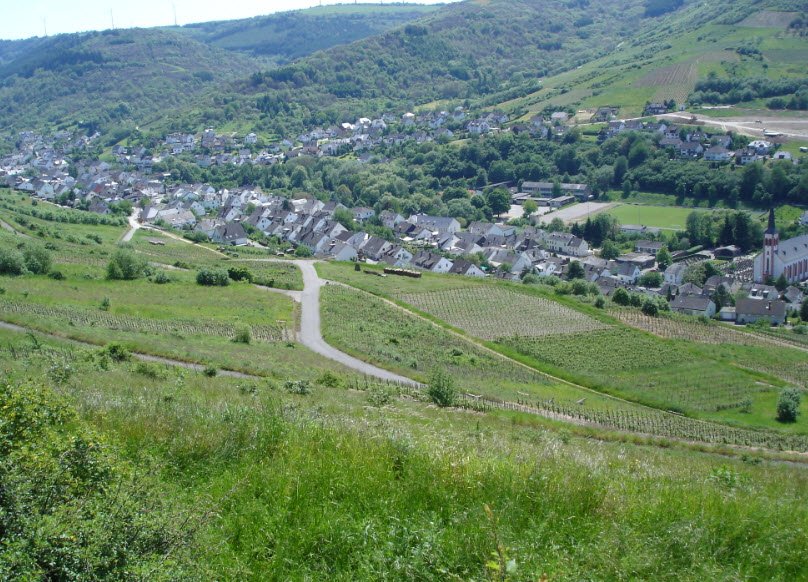 Feller Maximiner Burg, Fell, Rhineland-Palatinate, Germany, Germany